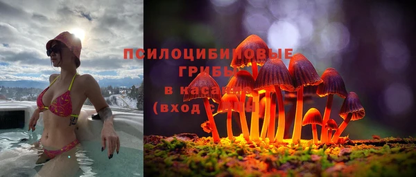 мяу мяу мука Алексеевка