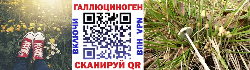 Галлюциногенные грибы Magic Shrooms  Ишим 