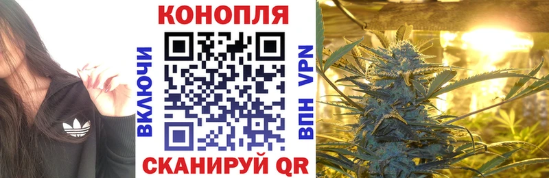 Бошки марихуана THC 21%  Ишим 
